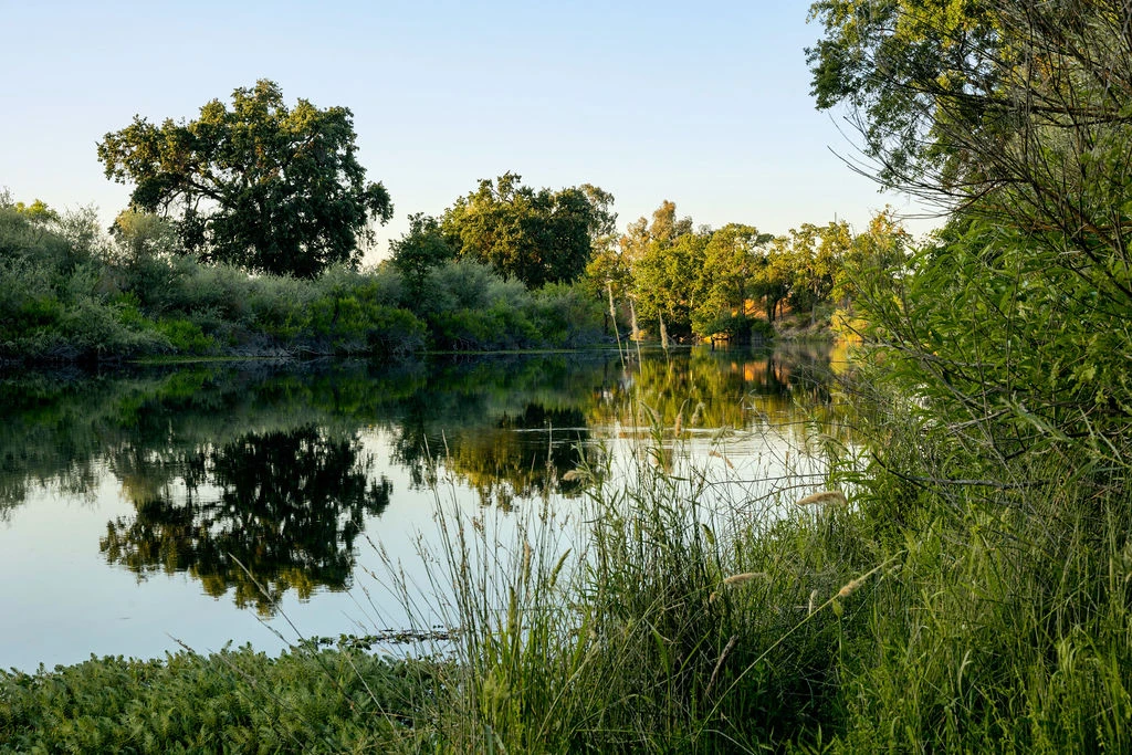 Tranquil sunset view over Earth Funeral’s San Joaquin conservation project.