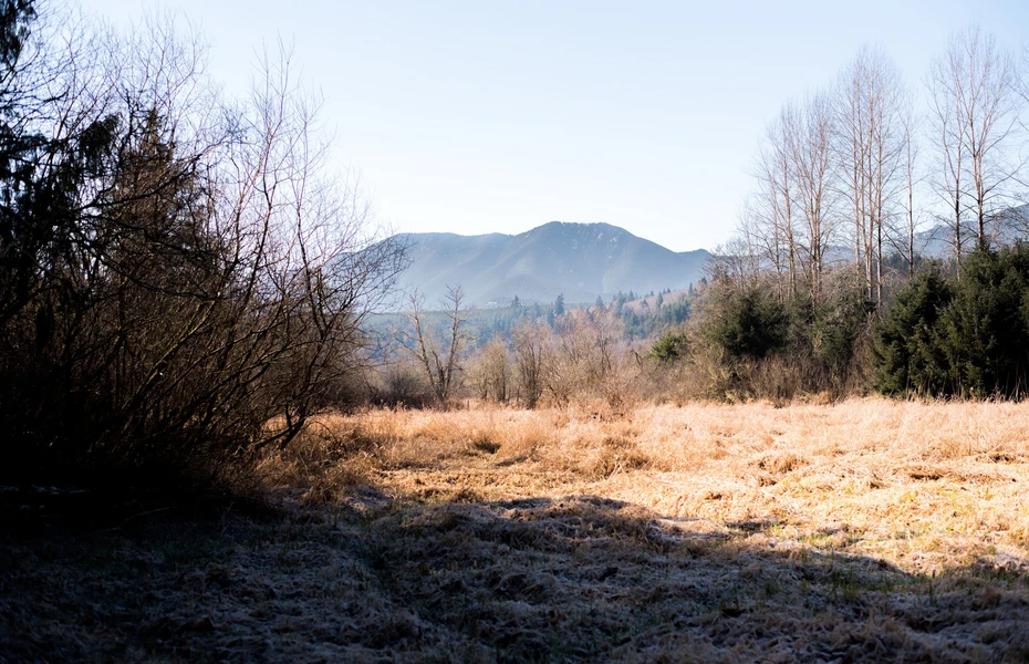 A beautiful landscape showing a mountain in the background and Earth Funeral’s conservation land and trees in the foreground